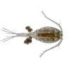 Marine copepods 180 ml